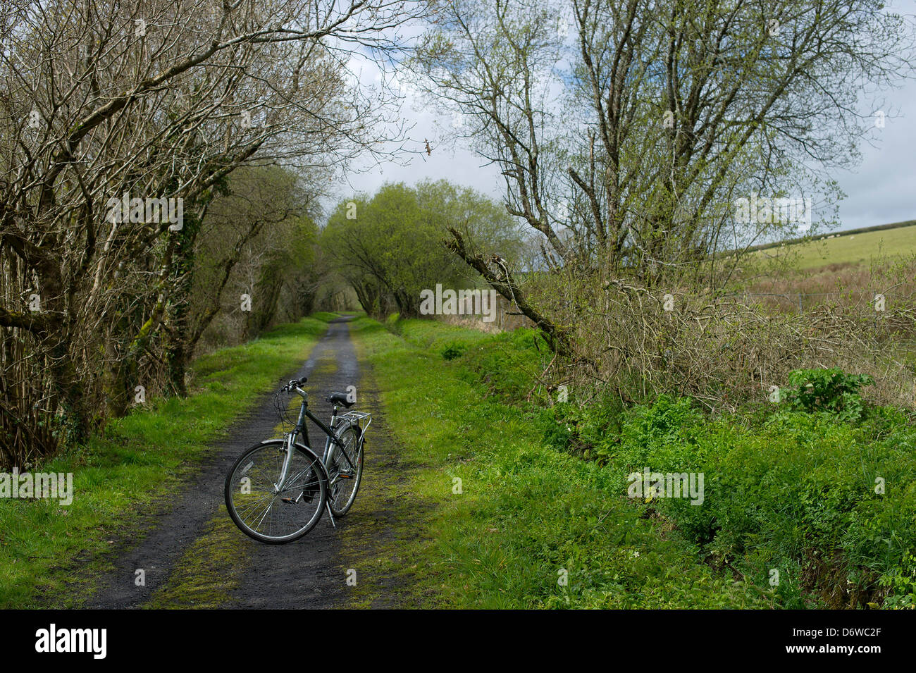 Picture By Jim Wileman 22/04/2012 The Tarka Trail, in North Devon, between Torrington and East Yard. Stock Photo