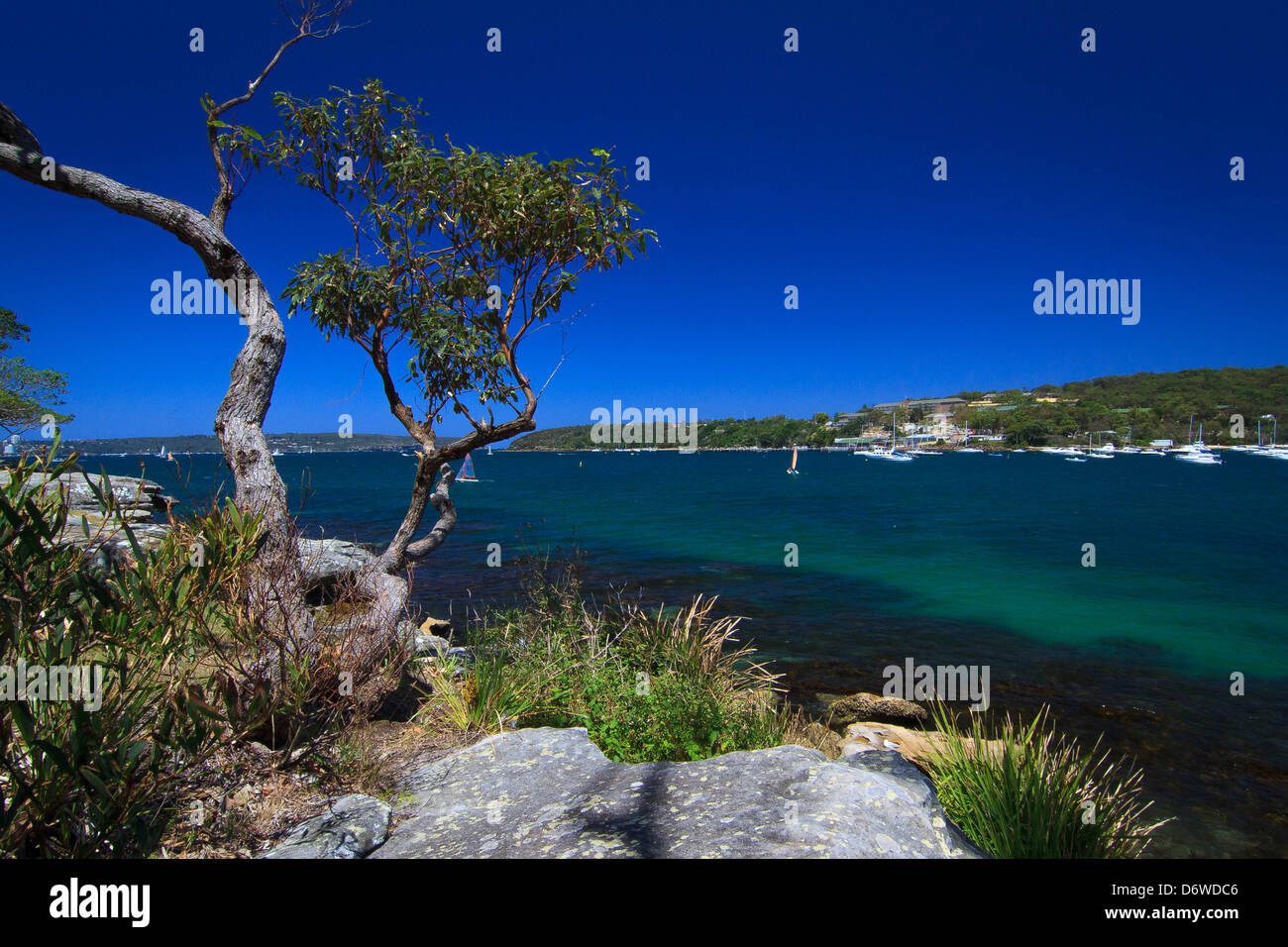 Balmoral beach australia hires stock photography and images Alamy