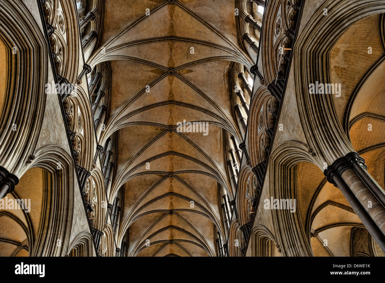 Vaulted Ceiling Of Salisbury Cathedral Wiltshire England