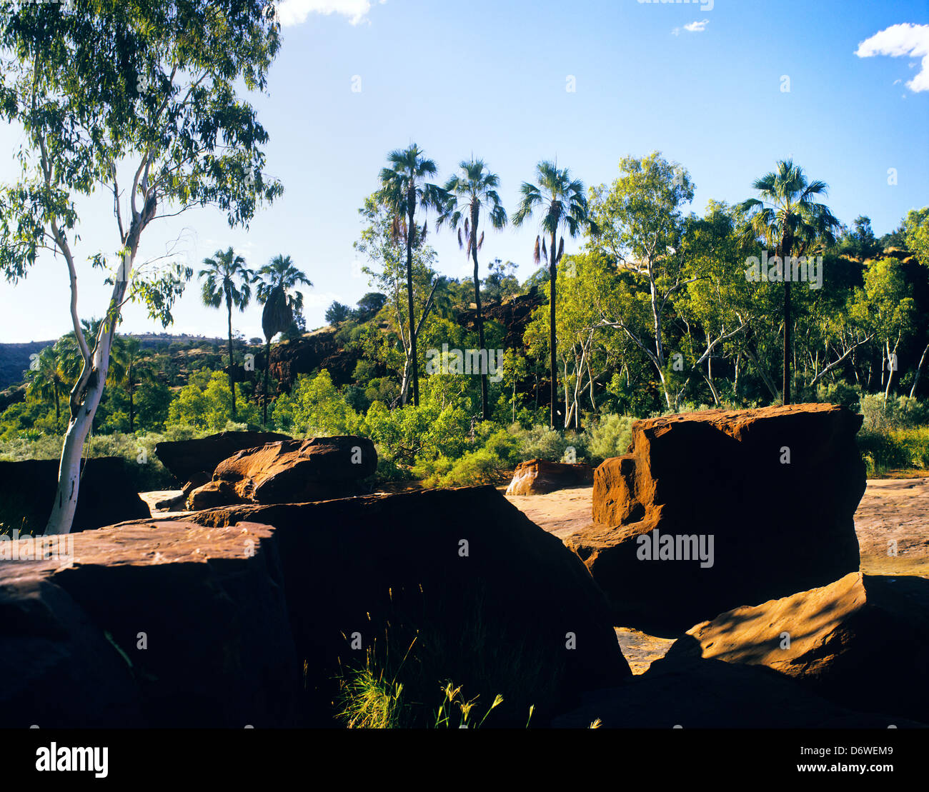 Australia, Northern Territory, Cycad Gorge at Finke Gorge National Park Stock Photo