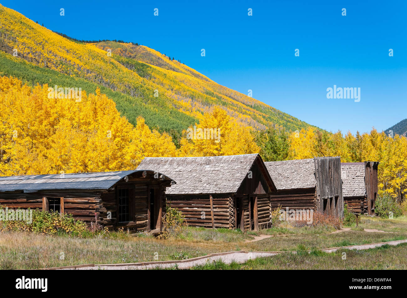 Buildings surrounded by autumn foliage, Ashcroft ghost town, Pitkin