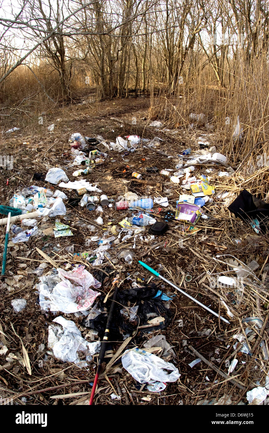 Household trash illegally dumped in a protected wetlands area, Long Island, New York State, USA