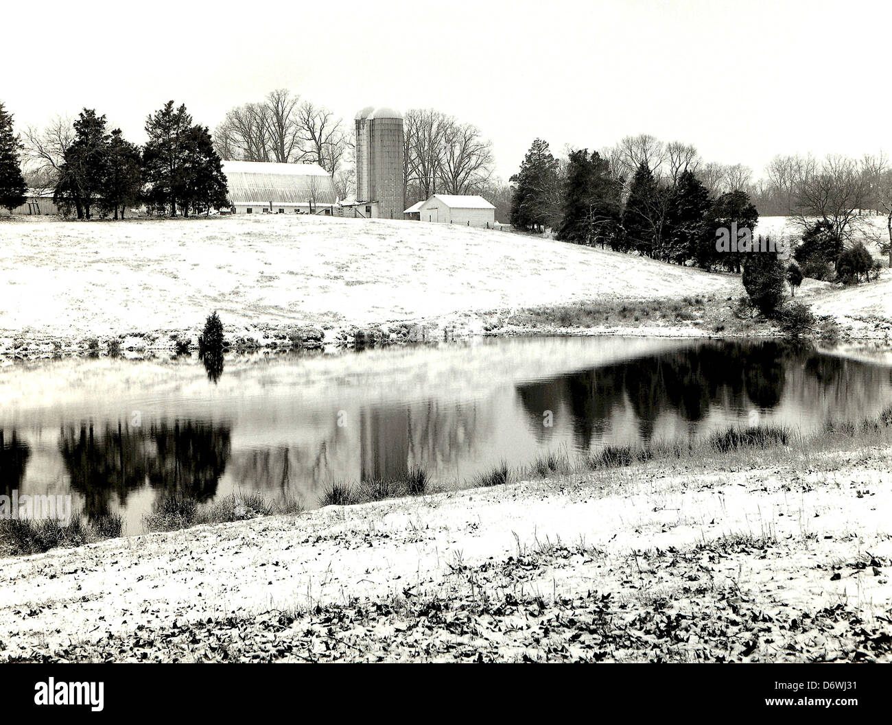 Chestnut Log Cabin In A Snow Covered Field Blue Ridge Virginia
