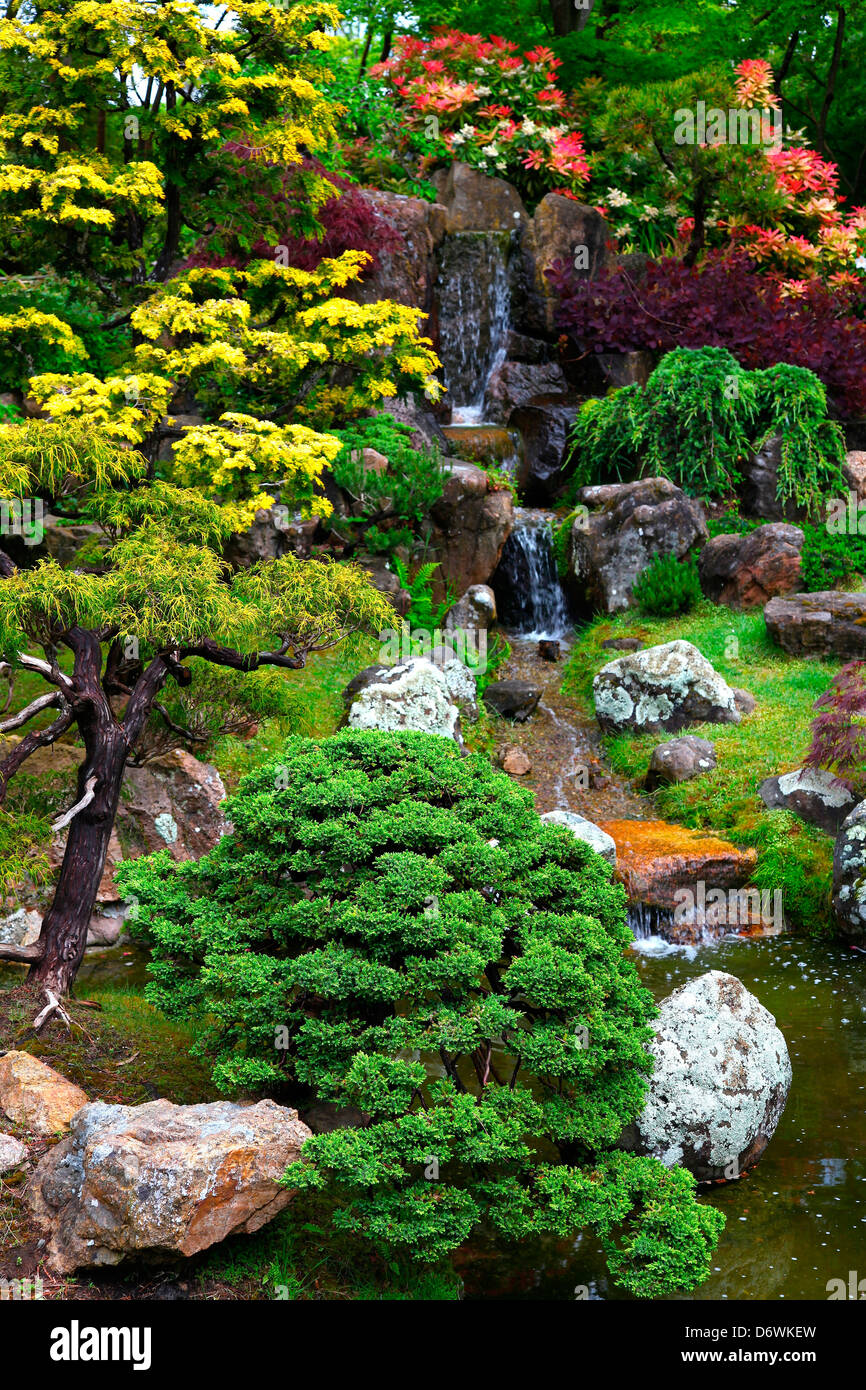 Sunken Garden Pond, Japanese Tea Garden, San Francisco, California