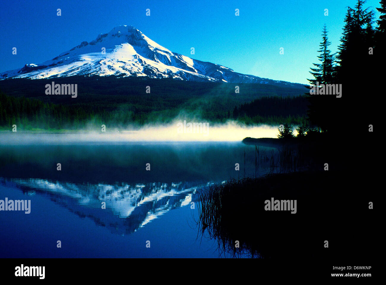 USA, Oregon, Mt Hood National Forest, Trillium Lake, Mt Hood Stock ...