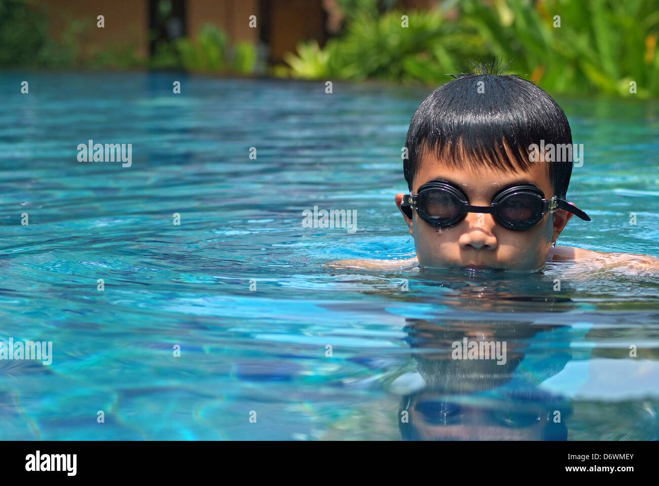 Little boy diving fun in the swimming pool Stock Photo - Alamy