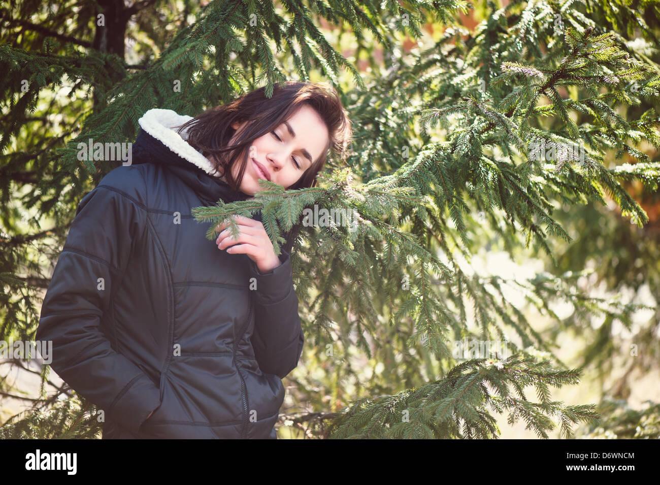 Young girl standing near spruce branches in sunny day Stock Photo