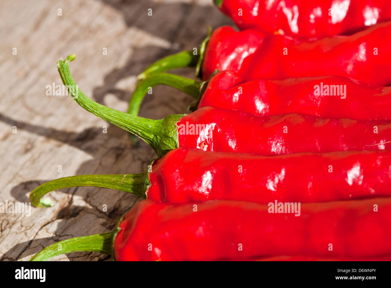 Bitter peppers hi-res stock photography and images - Alamy