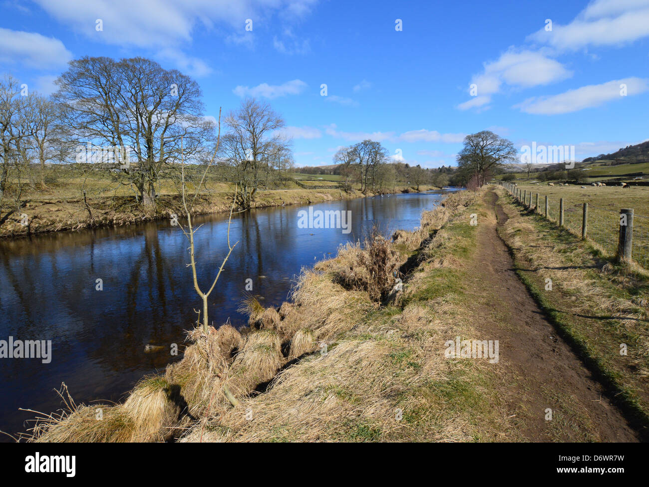 River Wharfe near Barden Bridge on The Dales Way Long Distance Footpath Wharfedale Yorkshire Stock Photo