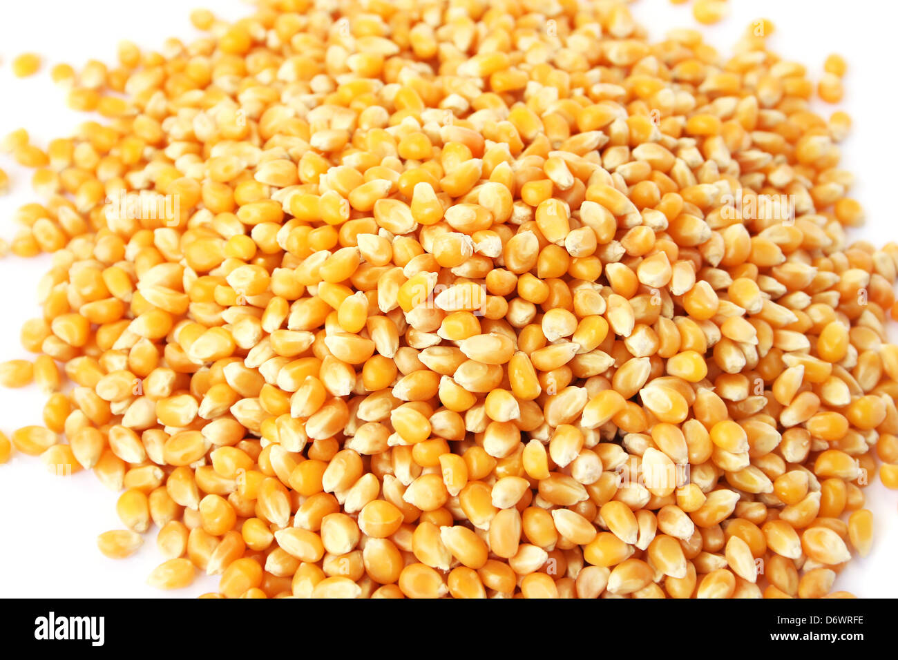 Corns kernel close up picture Stock Photo Alamy