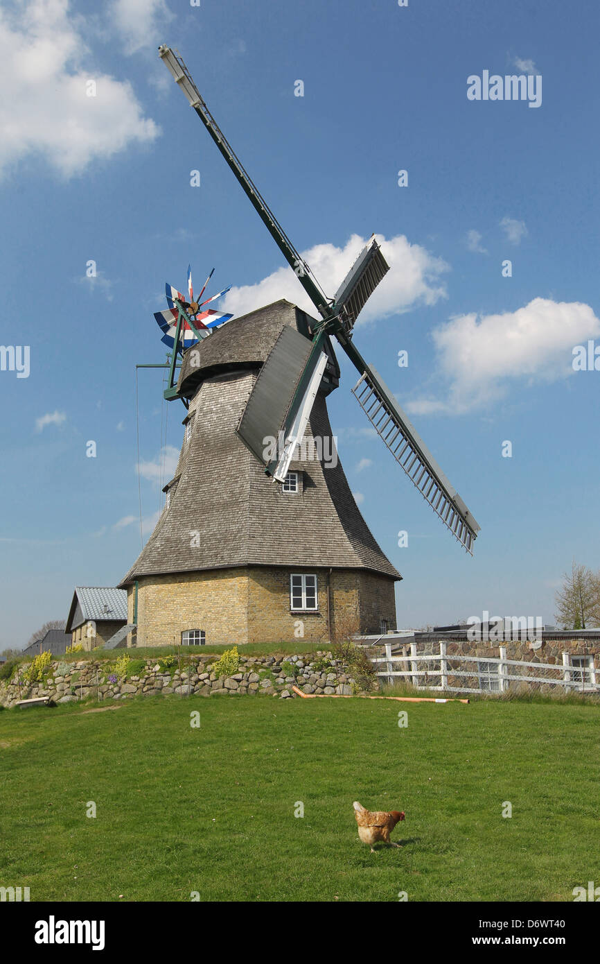 Gross Wittensee, Germany, the windmill Auguste Stock Photo