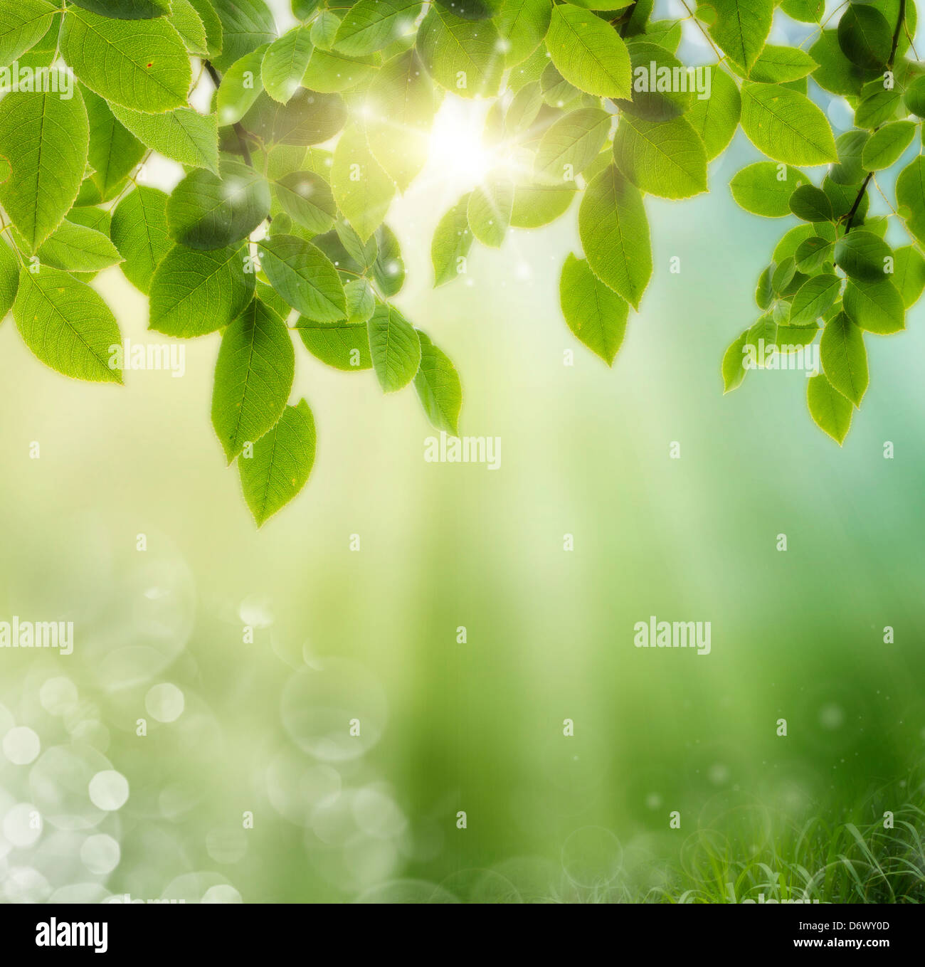 Spring or summer season abstract nature background with grass and blue ...