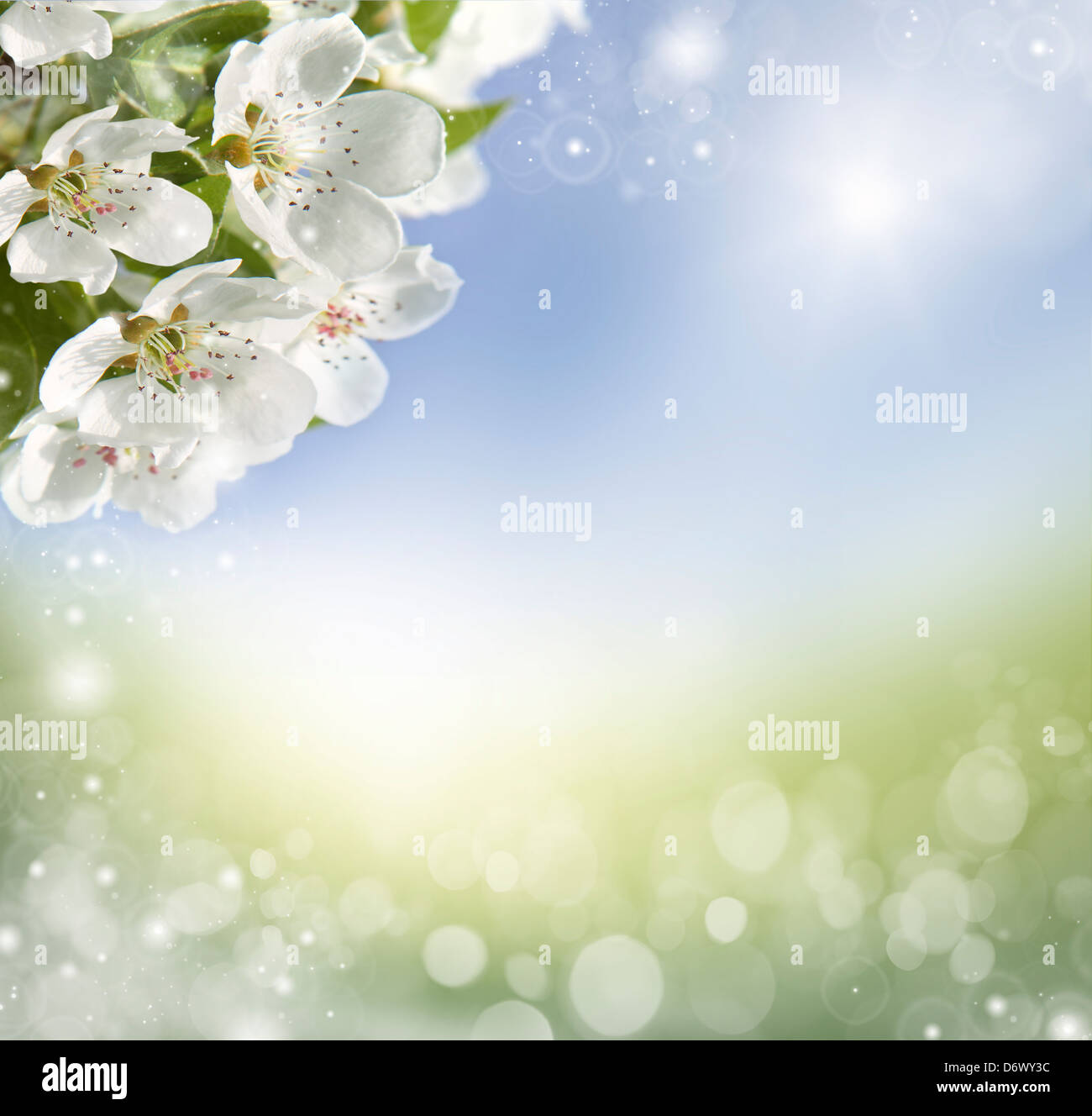 Abstract spring background Stock Photo Alamy