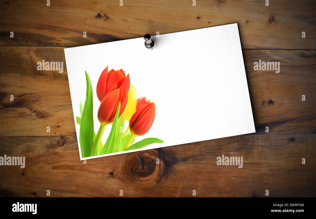Empty Love card with tulip flowers fixed onto a wooden wall with thumbtack Stock Photo