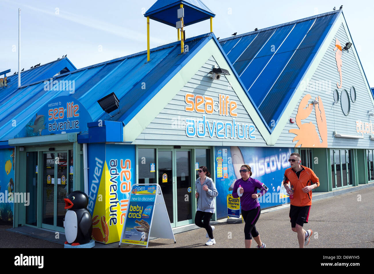 People running past the Sea Life Aquarium on Southend seafront. Stock Photo