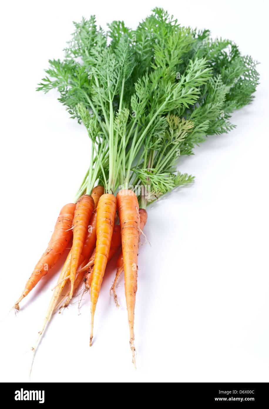 Carrots with leaves on a white background. Stock Photo