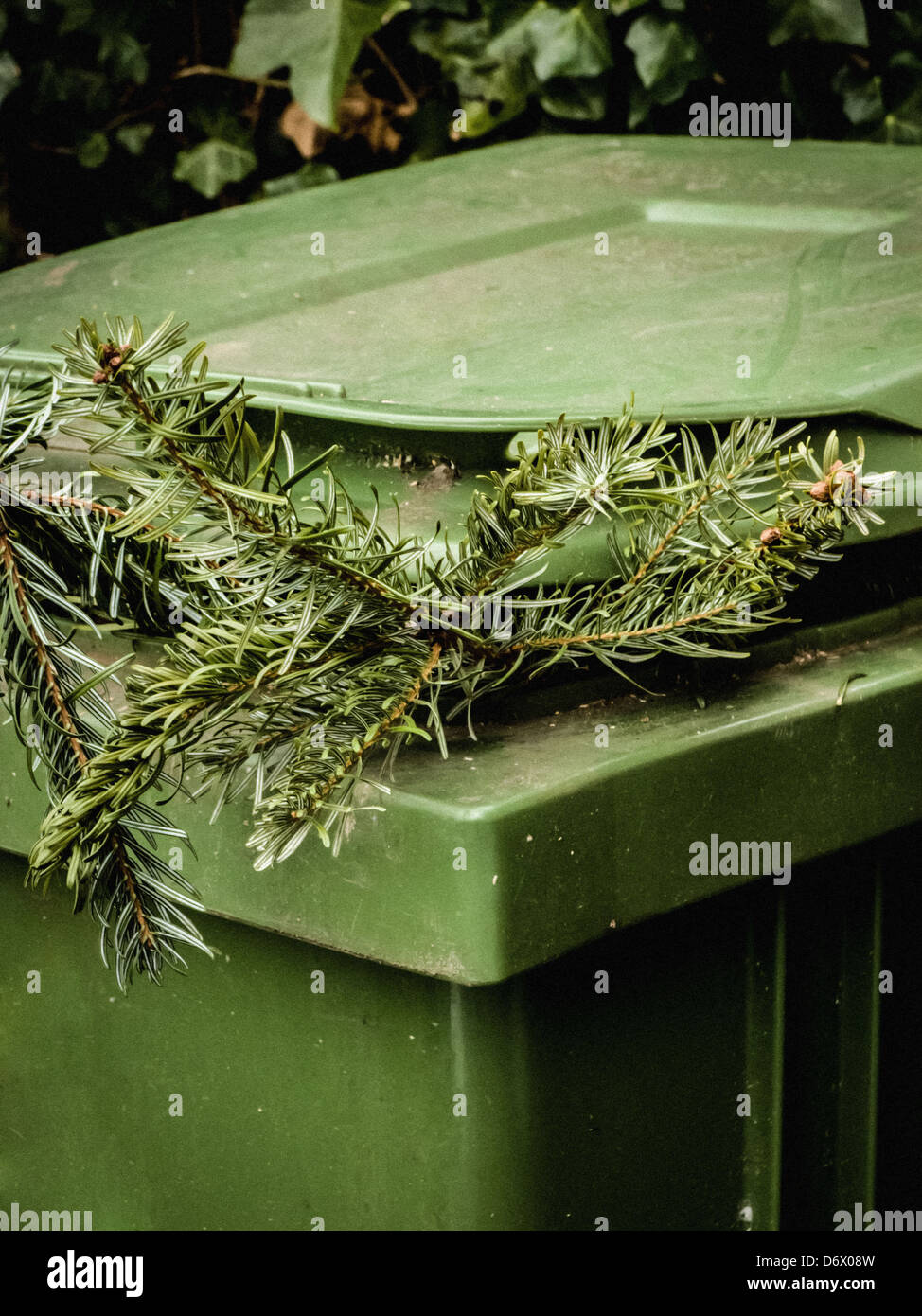 Tree By Wheelie Bin High Resolution Stock Photography and Images Alamy