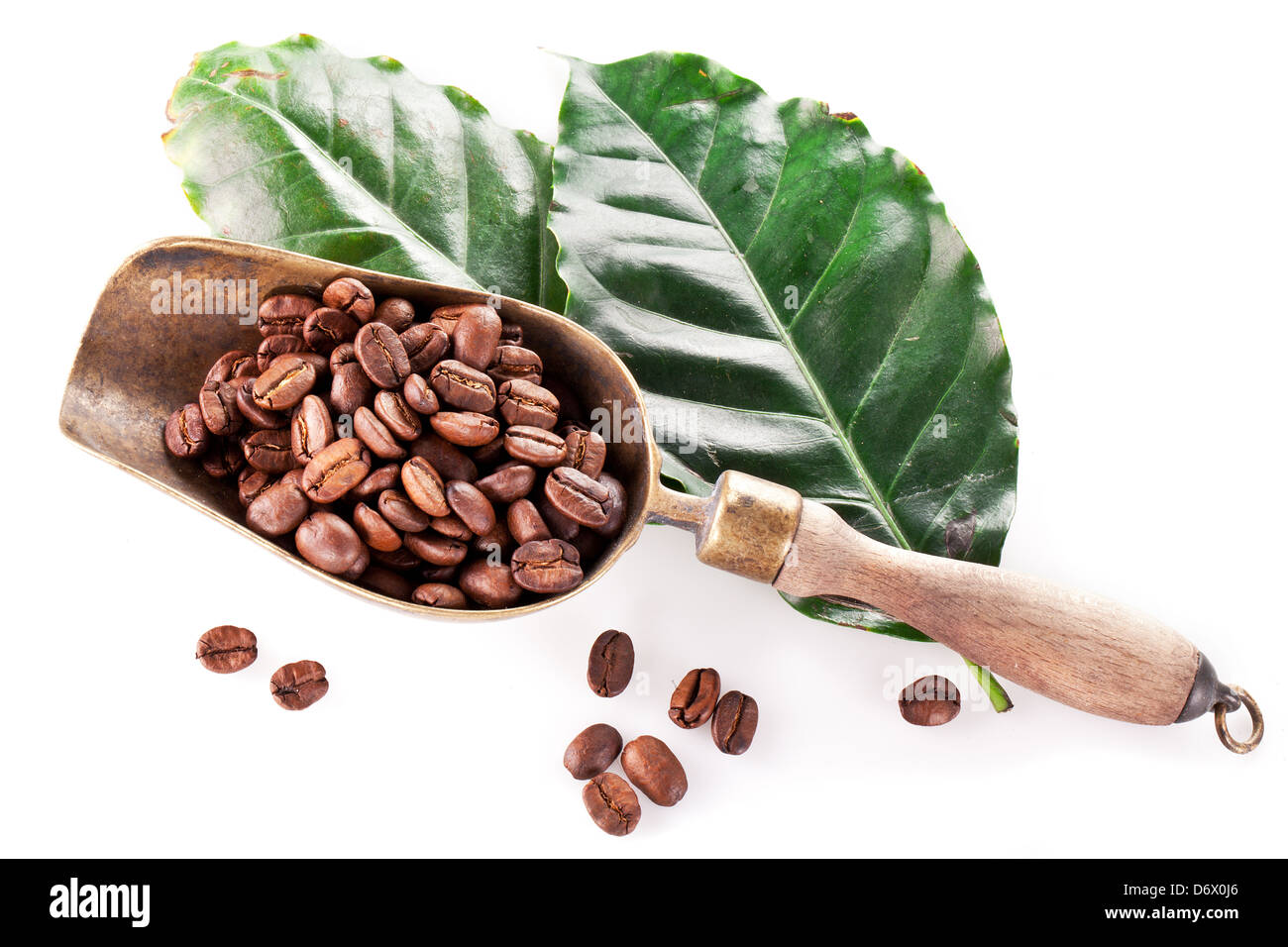 Coffee beans on scoop and leaves. Closeup snapshot on a white background. Stock Photo