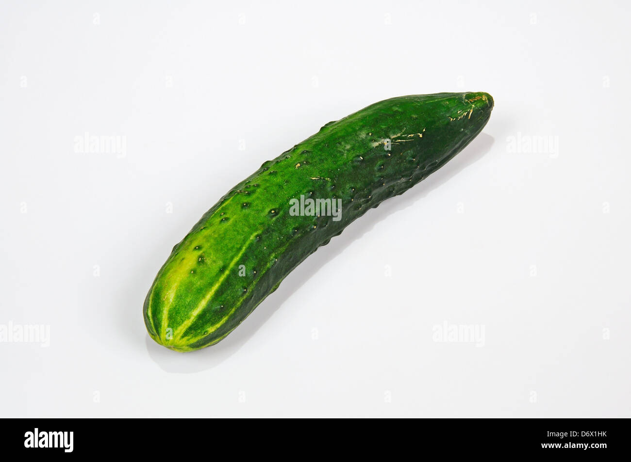 Spanish Cucumber against a white background Stock Photo Alamy