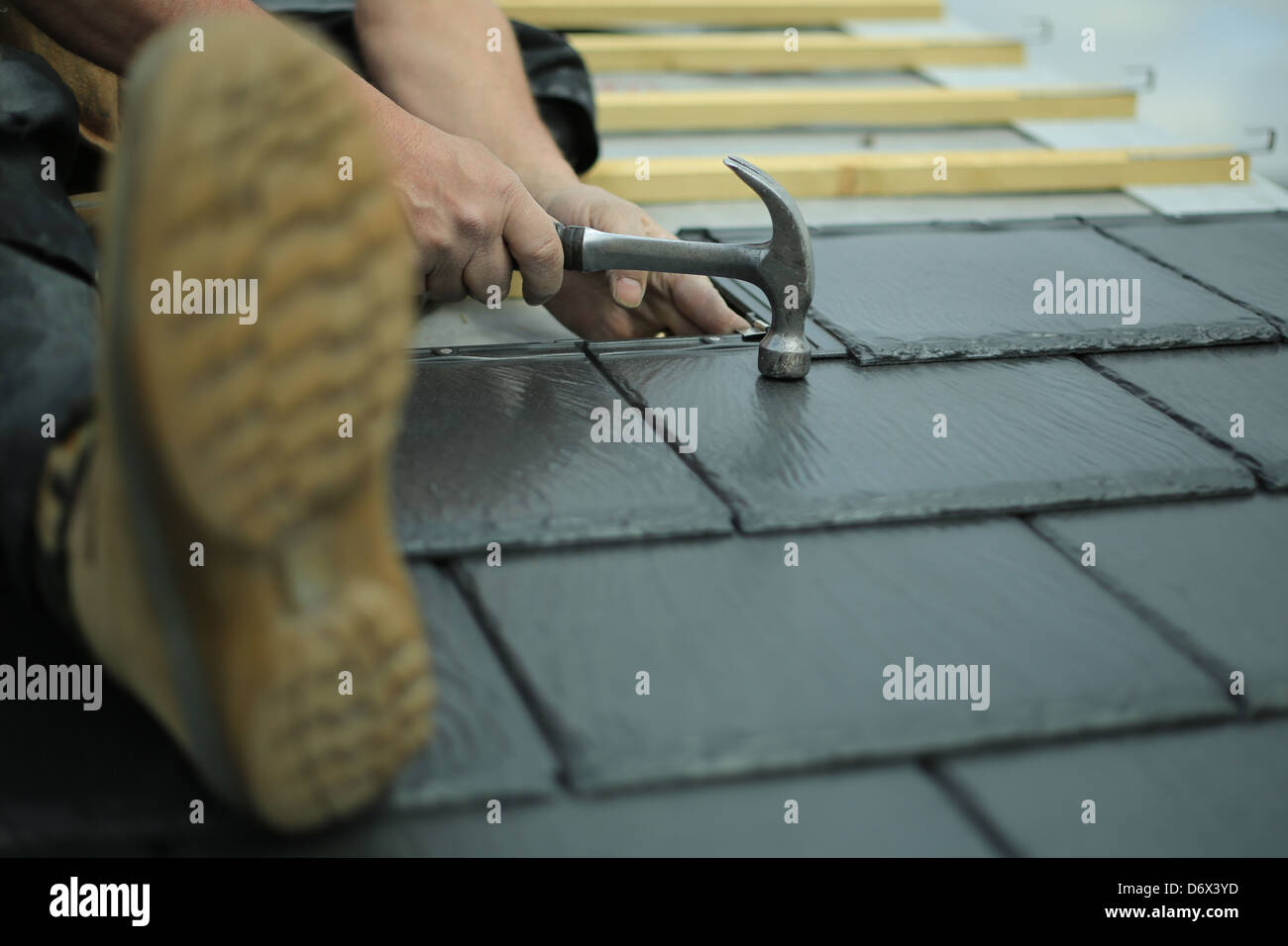 Construction worker fitting new roof slate tiles Stock Photo Alamy