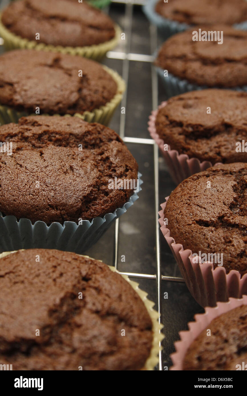 chocolate cupcakes in multicoloured bun cases cooling on wire rack Stock Photo