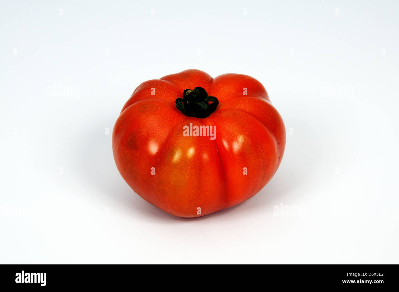 Beefsteak tomato against a plain background Stock Photo Alamy