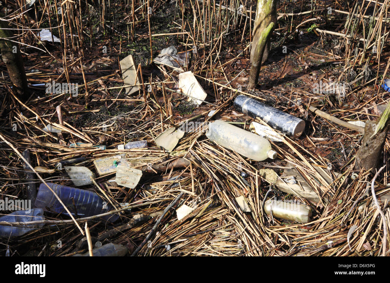 Discarded waste materials accumulating by the bank of the River Yare at Surlingham, Norfolk, England, United Kingdom. Stock Photo