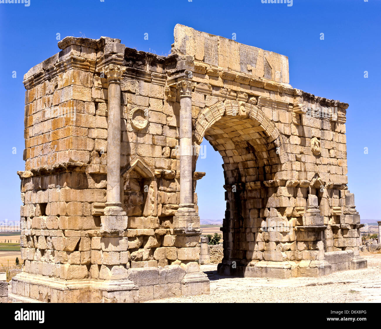 8623. Triumphal Arch of Caracalla (Roman), Volubilis, Morocco Stock Photo