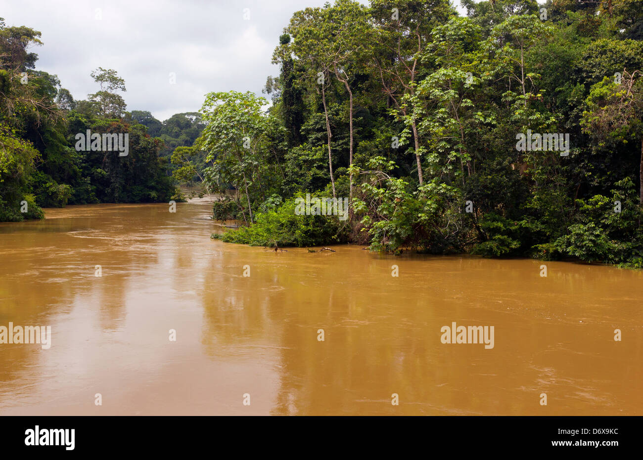 Rio Tiputini in the Ecuadorian Amazon, the water brown with sediment Stock Photo