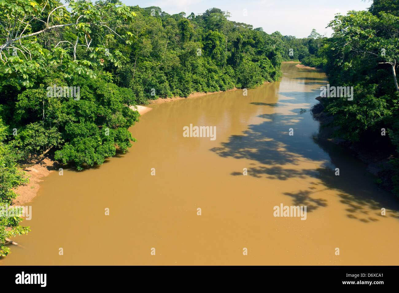 Amazonian river, the water brown with sediment, the rio Tiputini in Ecuador Stock Photo