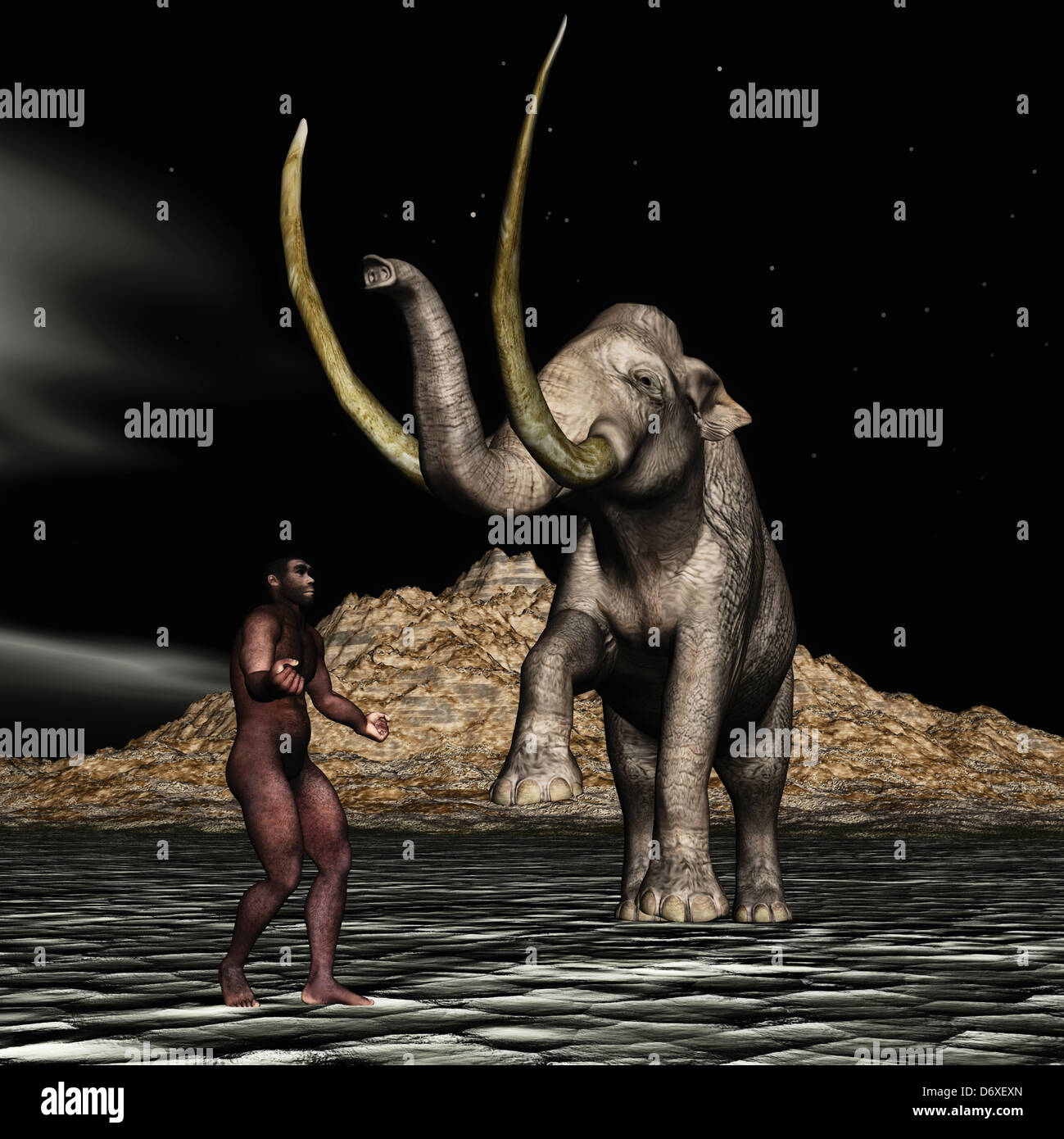Elephant fossils hi-res stock photography and images - Alamy