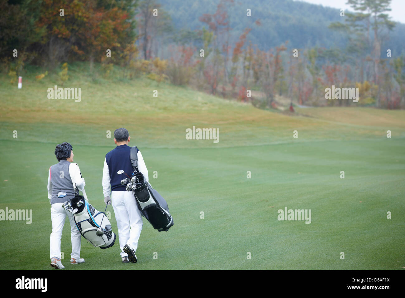 back shot of a couple with golf bags walking at a golf course Stock Photo