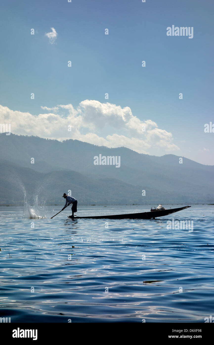 Freshwater fish of myanmar hi-res stock photography and images - Alamy