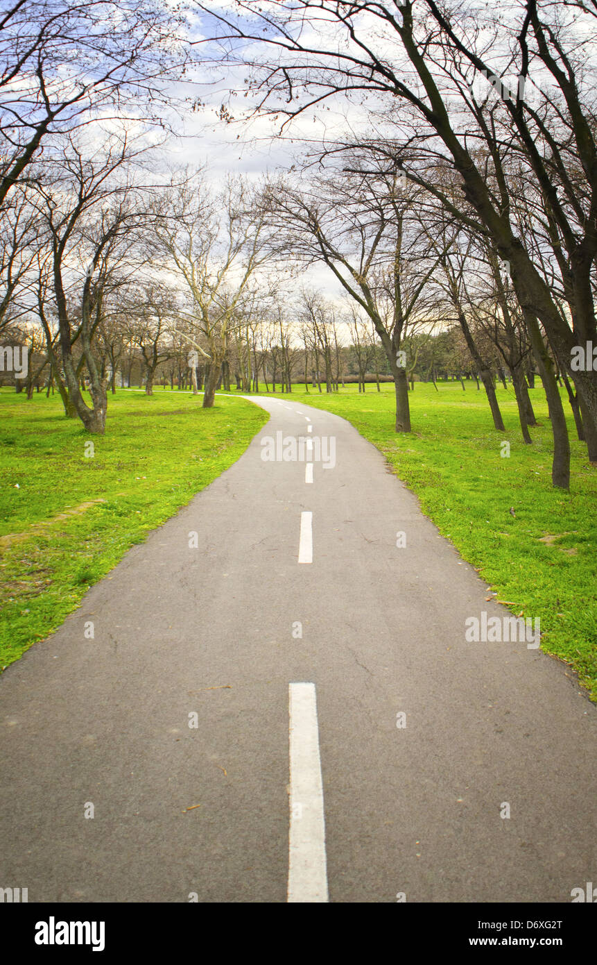 Empty road in wood Stock Photo - Alamy