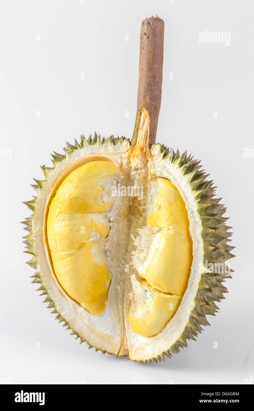 Thai durian isolated on white background Stock Photo - Alamy