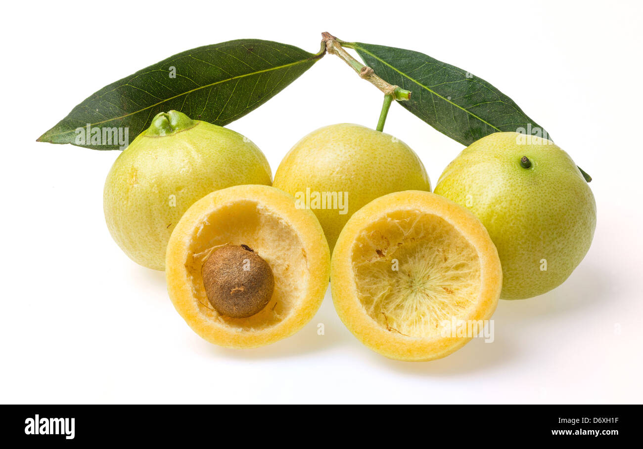 Syzygium jambos rose apple isolated on white background Stock Photo Alamy