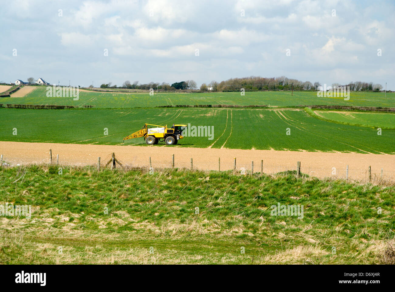 Farmland, gileston near llantwit major, vale of glamorgan, south wales, uk Stock Photo