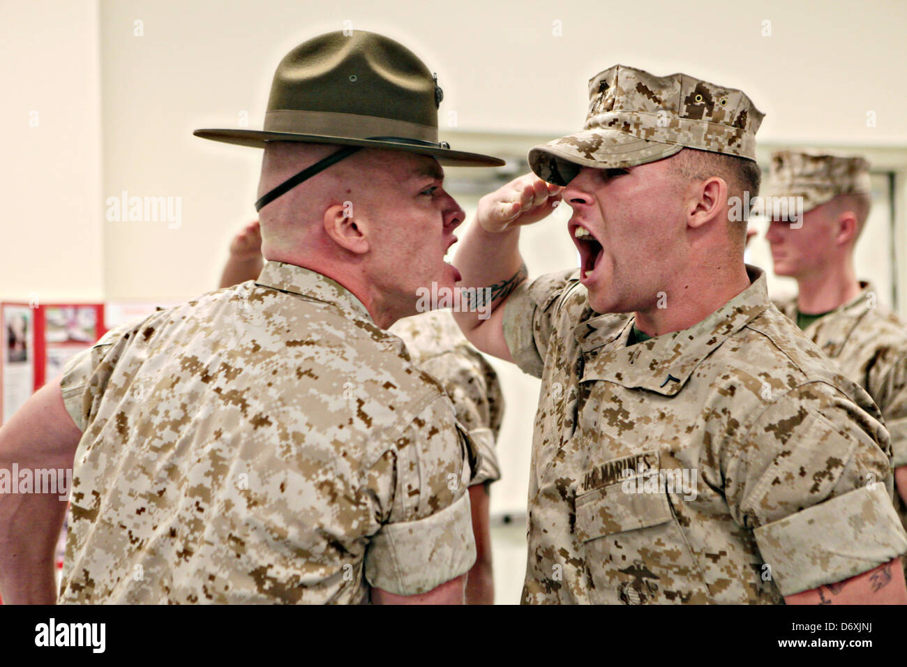 A US Marine Corps drill instructor screams at a Marine recruit during boot camp at Camp Johnson March 31, 2011 Jacksonville, NC. Stock Photo