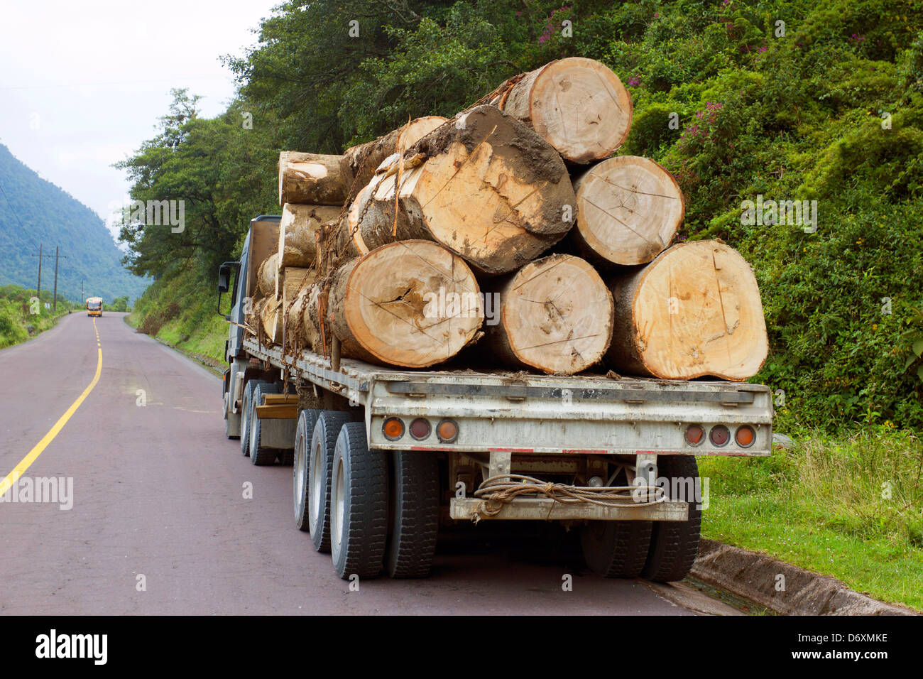 Trucking timber from the Amazon over the Andes in Ecuador Stock Photo