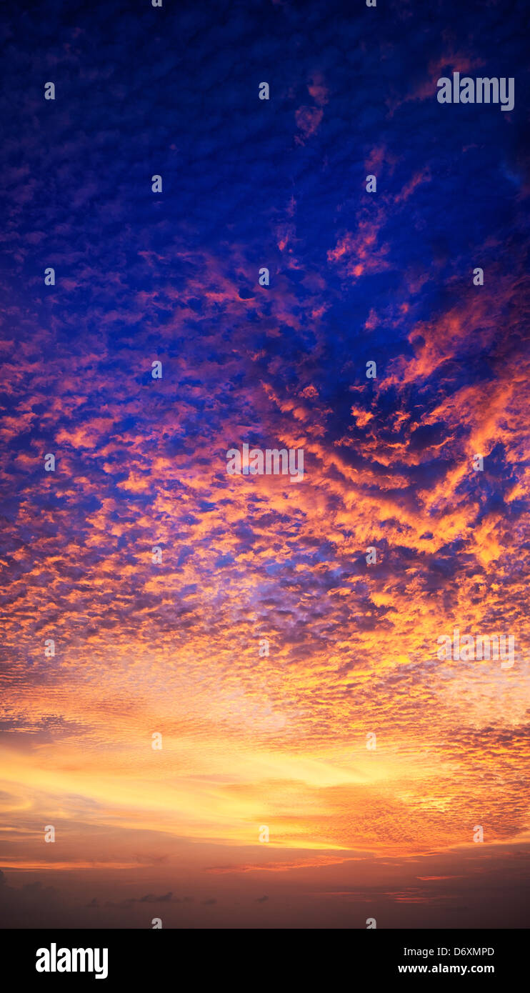 Vertical panorama of spectacular sunset sky Stock Photo