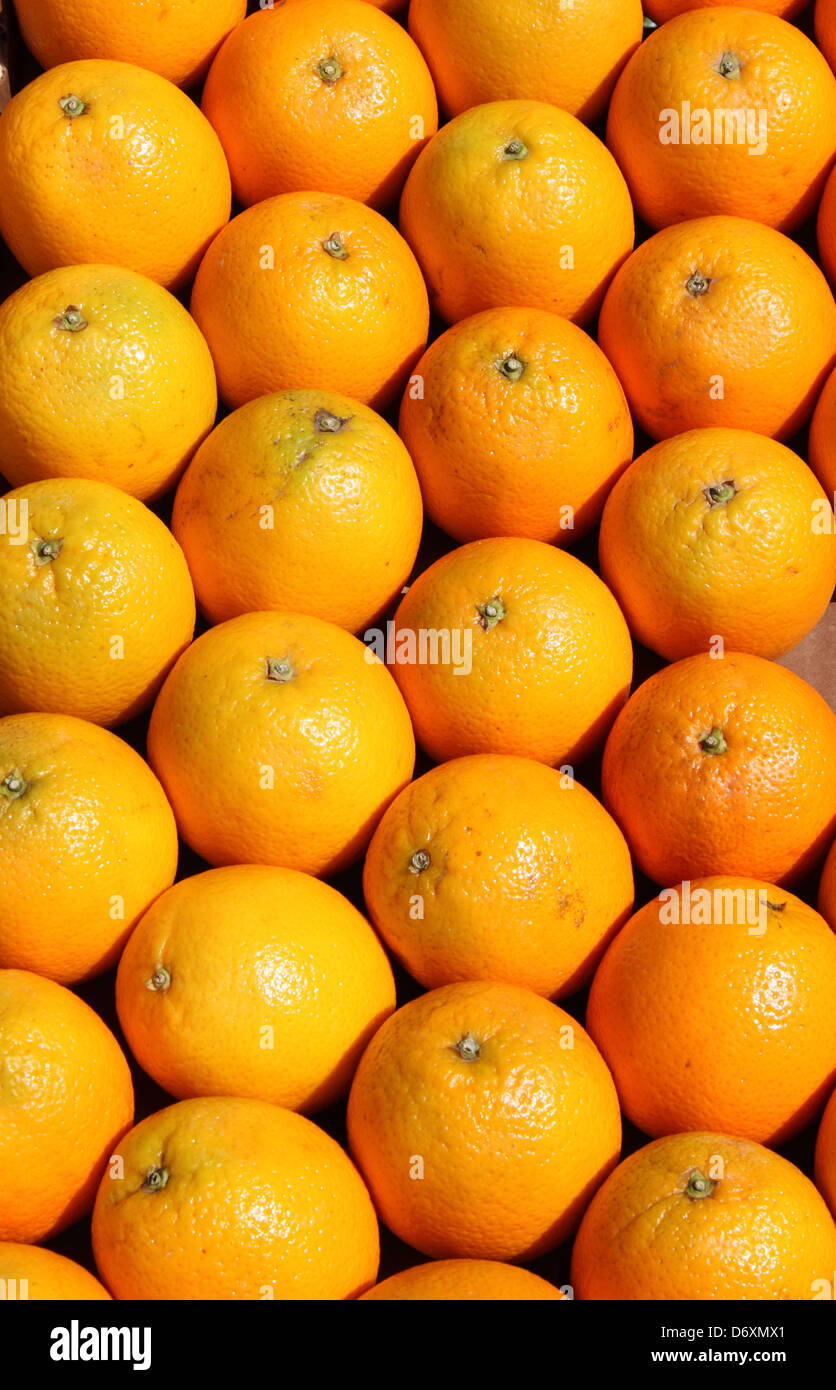 Oranges in rows for sale in a greengrocery Stock Photo