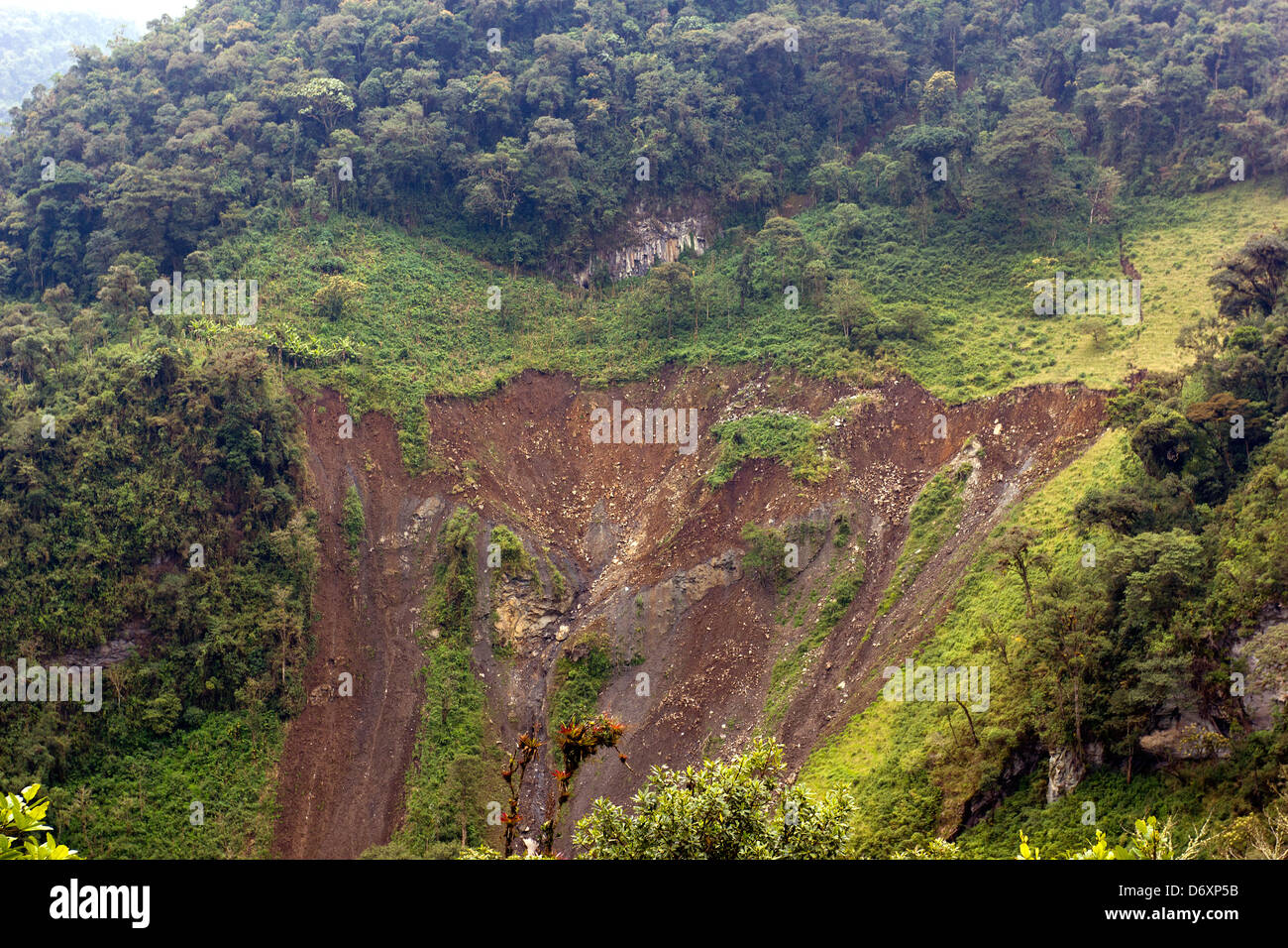 Landslide in the Amazonian foothills of the Andes in Ecuador. Caused by clearing a pasture on as unsuitably steep slope. Stock Photo