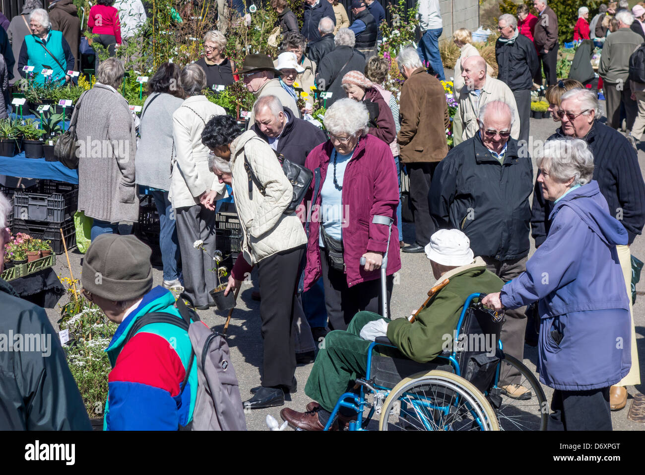 Plant Fair People Customers  buying plants Stock Photo