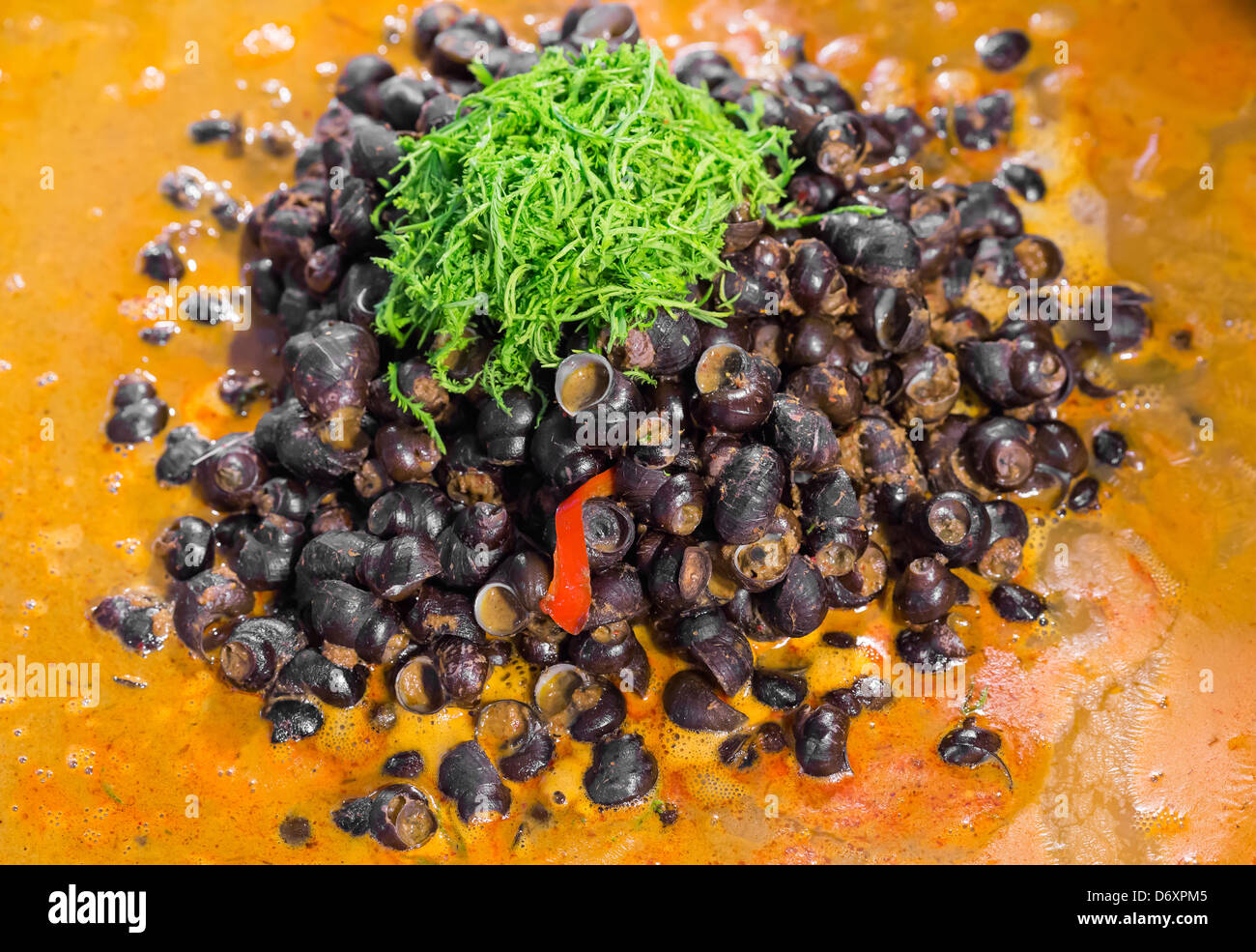 Pond snail, Marsh snail, River snail red curry with Acacia pennata Stock Photo