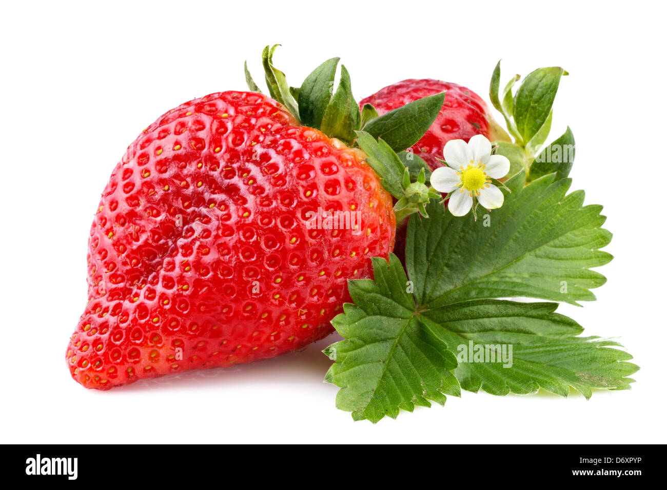 strawberry with leaf isolated on white background Stock Photo - Alamy