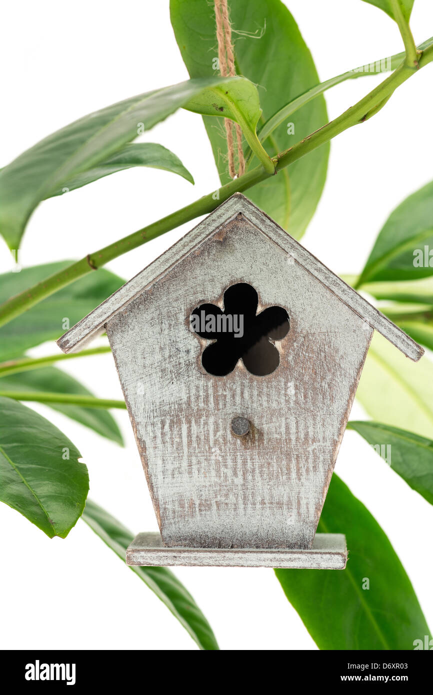 Birdhouse hanging in tree - studio shot with a white background Stock Photo
