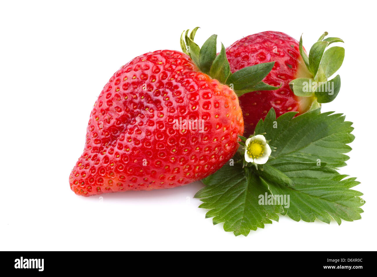 ripe strawberry with leaf on white background Stock Photo - Alamy