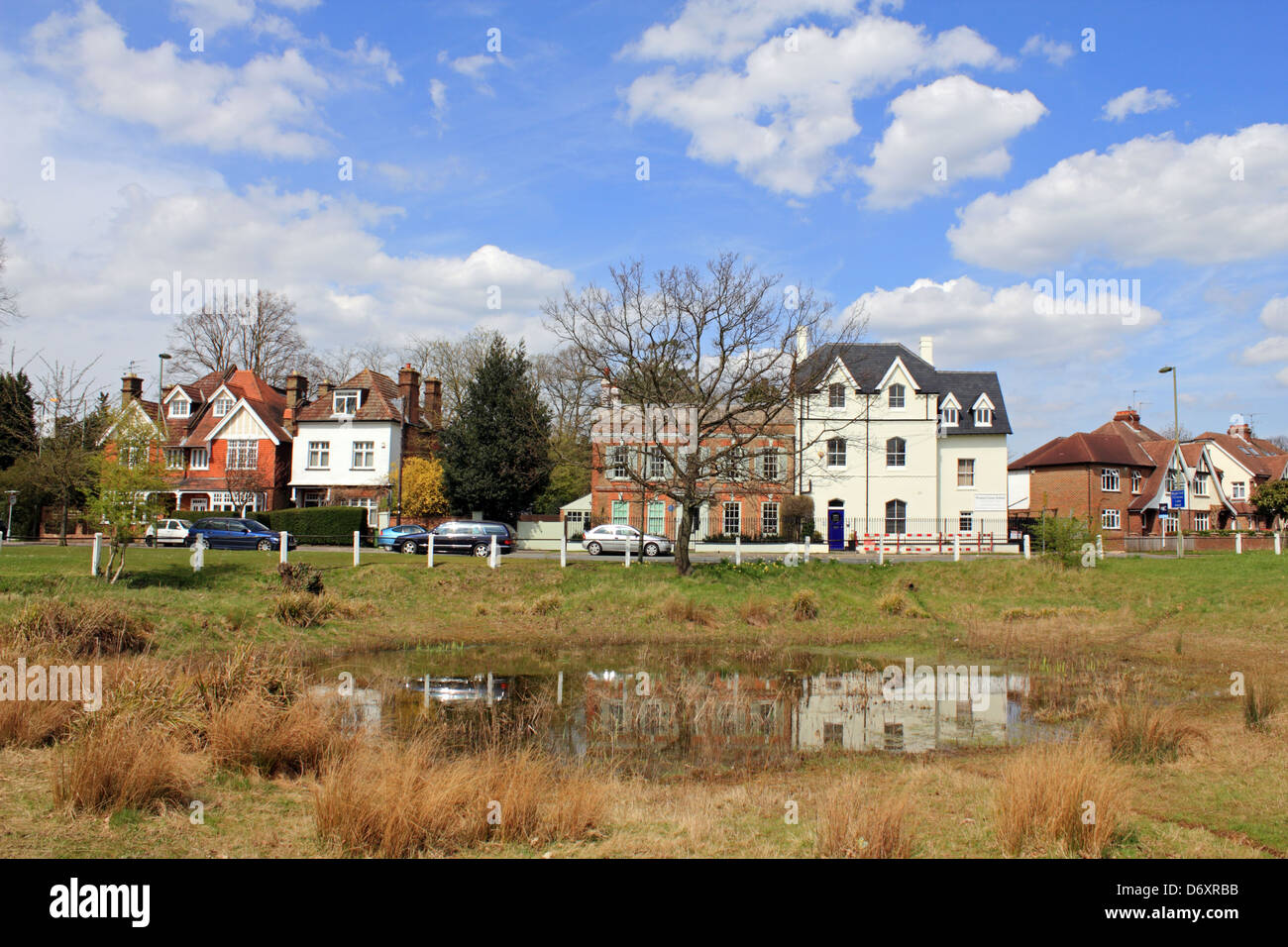 Weston Green pond, Esher, Surrey, England, UK. Stock Photo