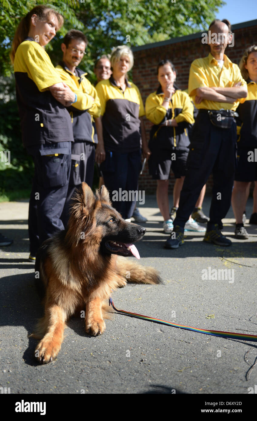Berlin, Germany, Brieftraeger learn how to deal with dogs at the workshop postman Dog Stock Photo