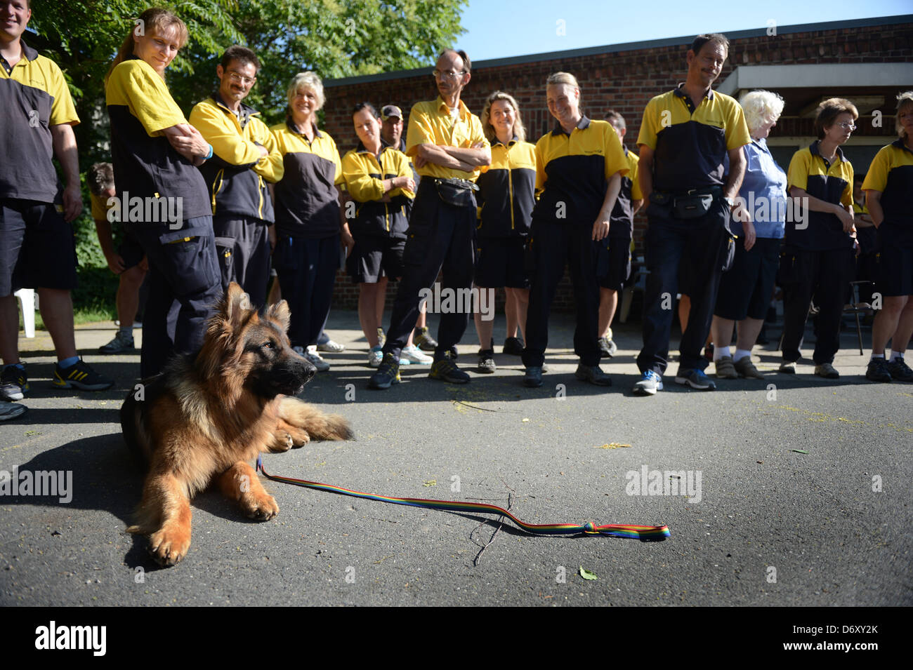 Berlin, Germany, Brieftraegern is the correct handling of dogs shown